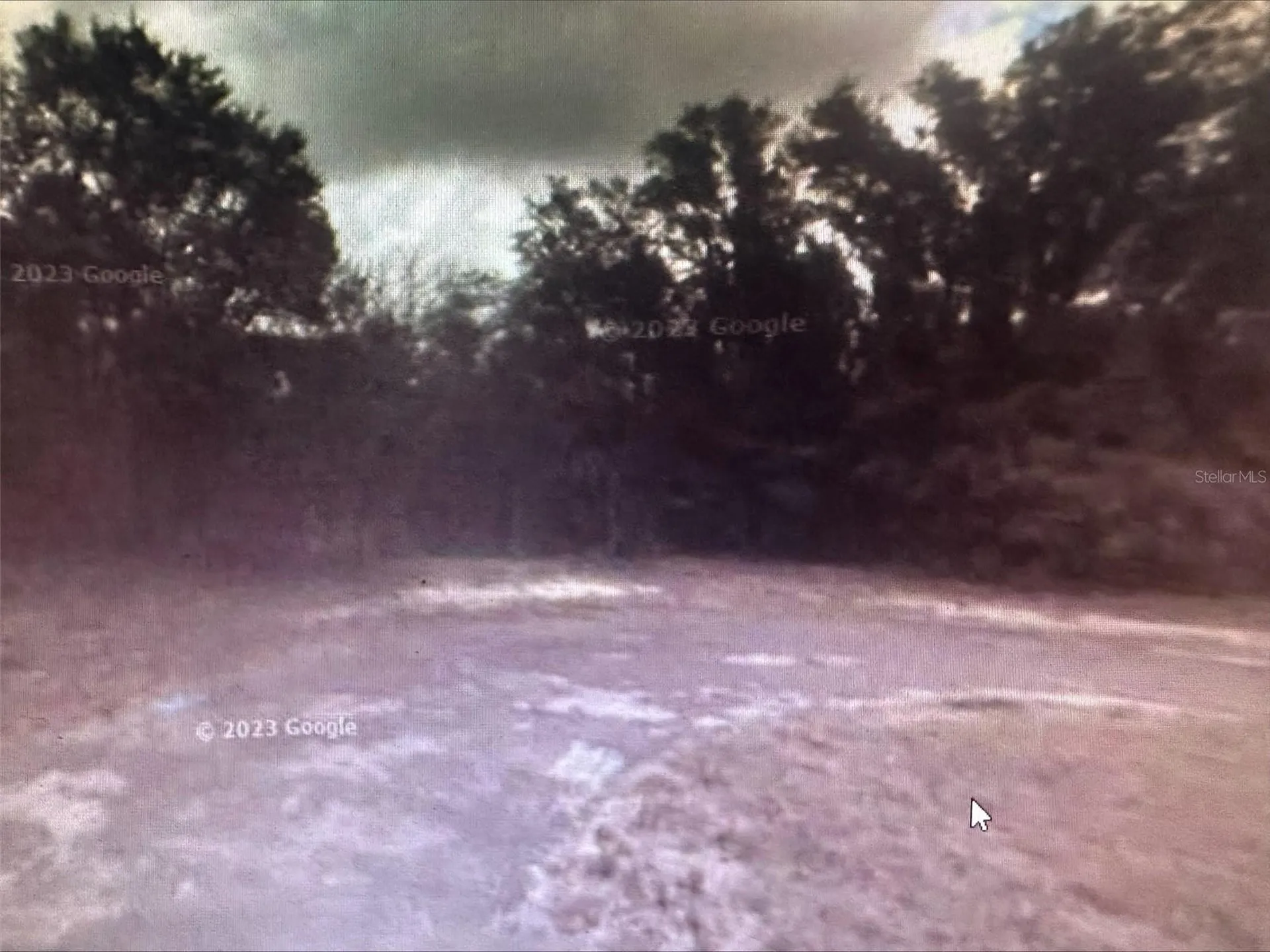 2981 W Challenge Court Citrus Springs FL 34434