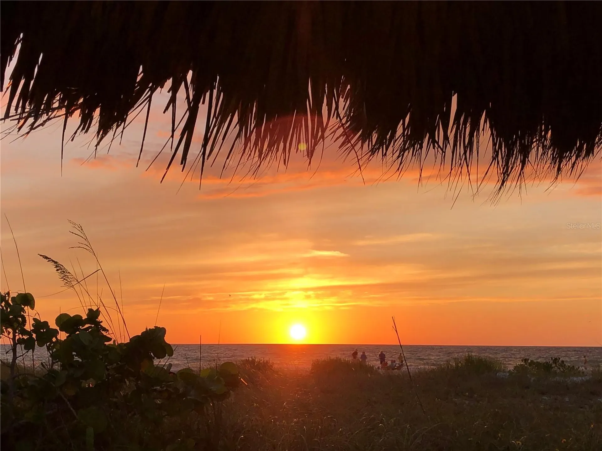 1290 Gulf Boulevard Clearwater FL 33767
