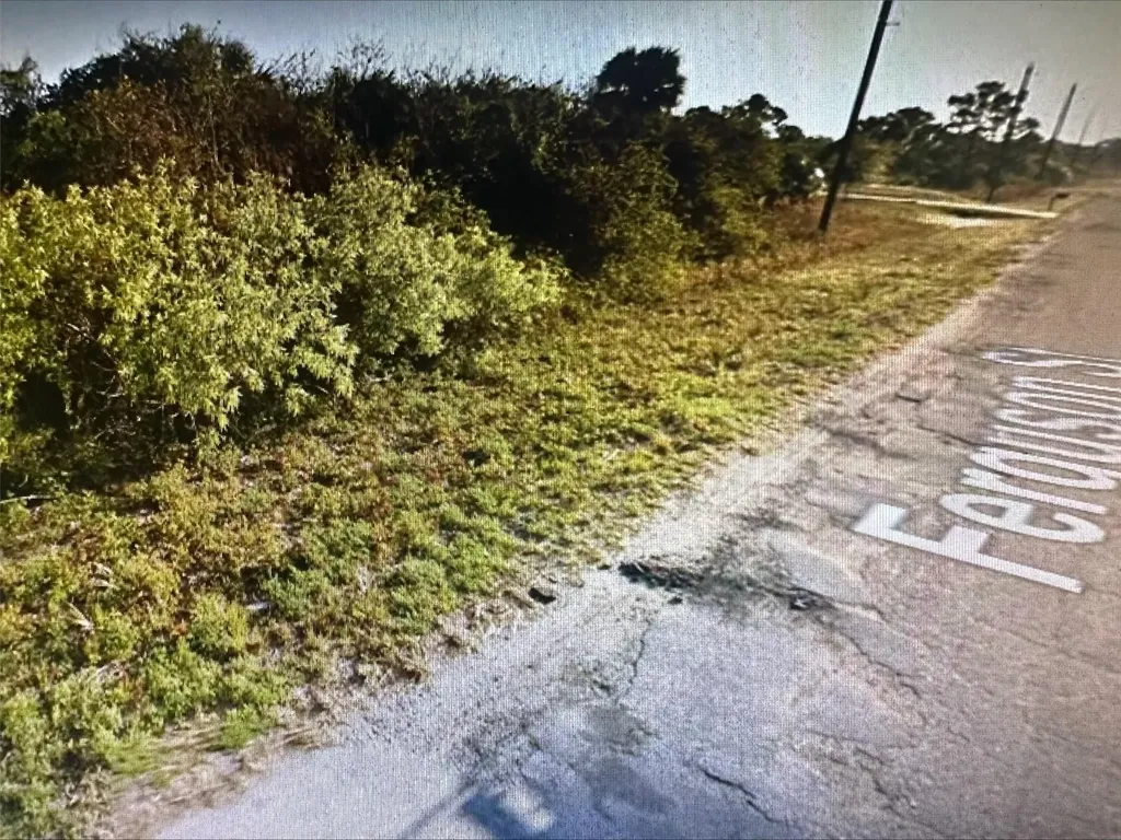 165 Ferguson Street SW Palm Bay FL 32908