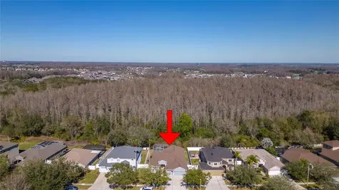 10660 Grand Riviere Drive Tampa FL 33647