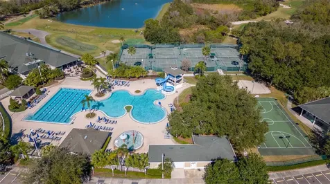 10660 Grand Riviere Drive Tampa FL 33647