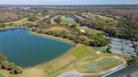 10660 Grand Riviere Drive Tampa FL 33647