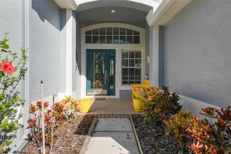 10660 Grand Riviere Drive Tampa FL 33647