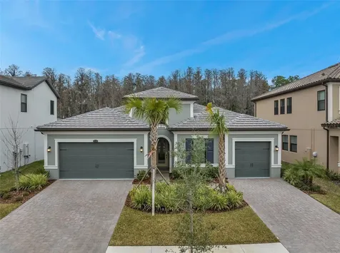 29704 Picana Lane Wesley Chapel FL 33543