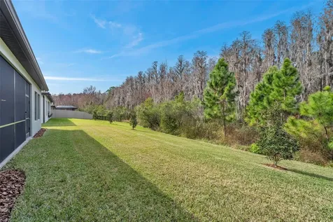 29704 Picana Lane Wesley Chapel FL 33543