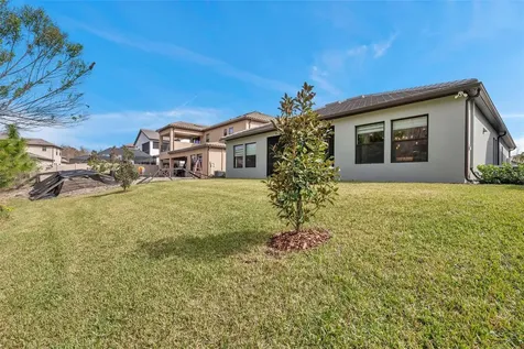 29704 Picana Lane Wesley Chapel FL 33543