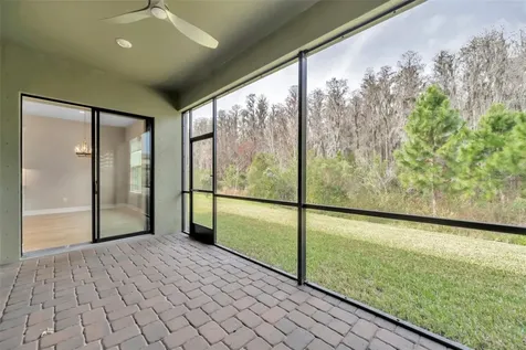 29704 Picana Lane Wesley Chapel FL 33543