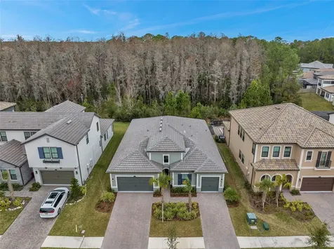 29704 Picana Lane Wesley Chapel FL 33543