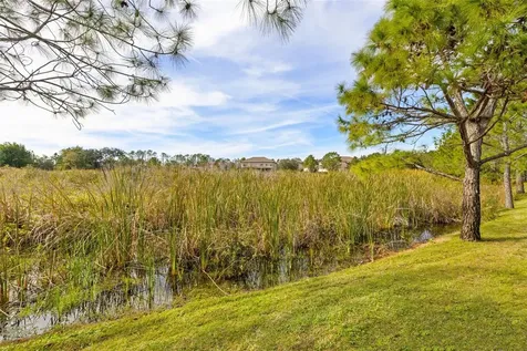 14906 Old Tom Morris Court Tampa FL 33626