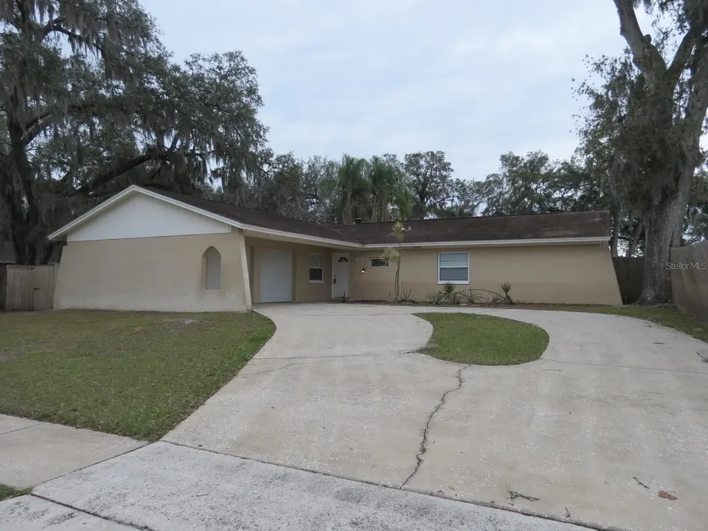 1103 Brandon Lakes Avenue Valrico FL 33594