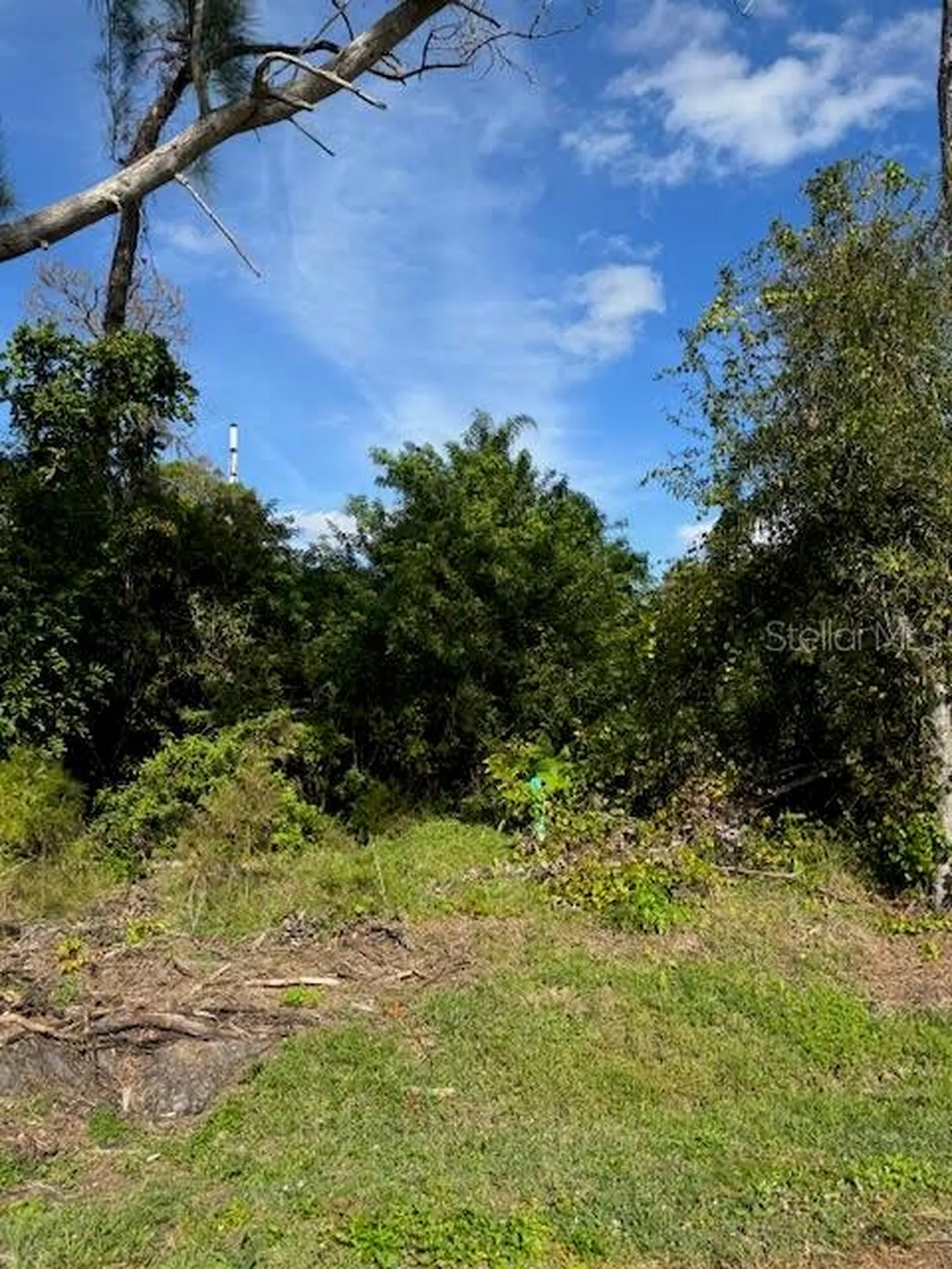 Cedar Avenue Englewood FL 34223
