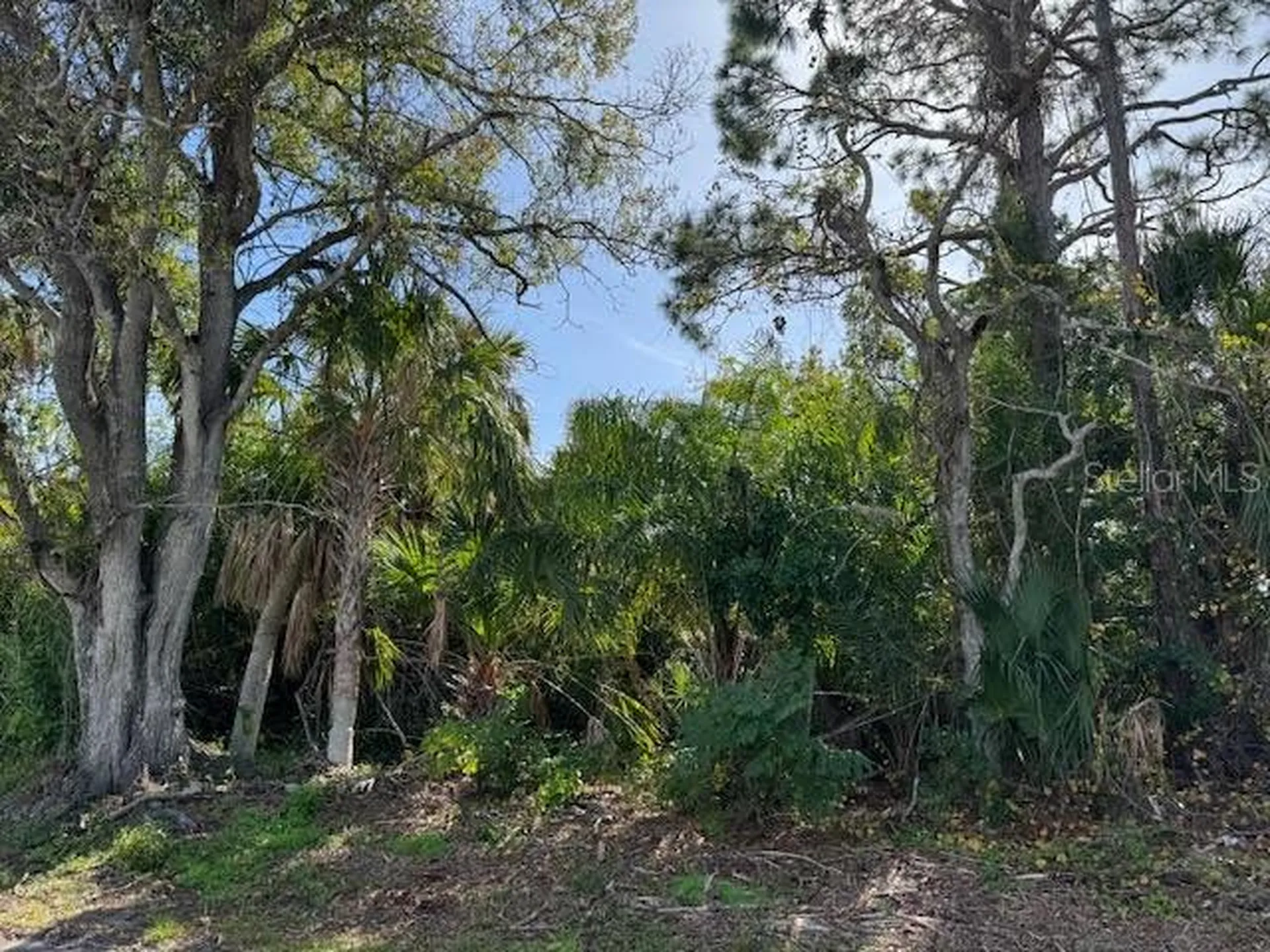 Gillespie Street Englewood FL 34223