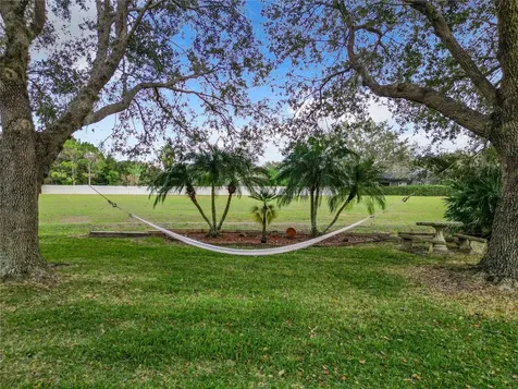 5327 Los Palma Vista Drive Orlando FL 32837