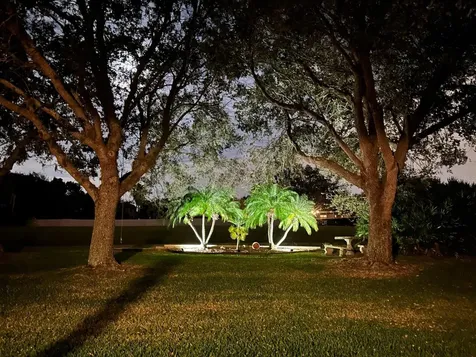 5327 Los Palma Vista Drive Orlando FL 32837