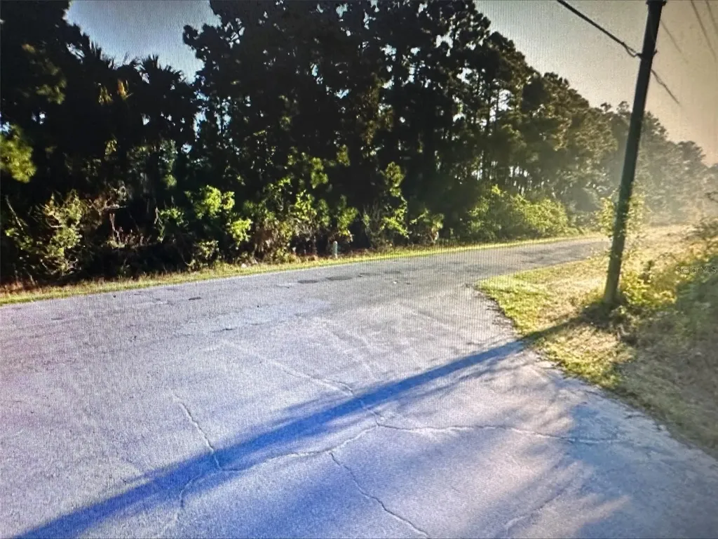 271 J T Sancho Street SW Palm Bay FL 32908