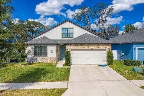 11220 Paddock Manor Avenue Riverview FL 33569