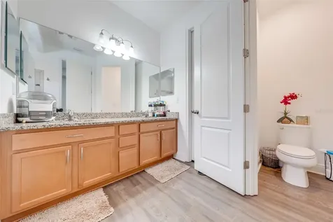 11220 Paddock Manor Avenue Riverview FL 33569
