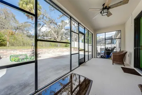 11220 Paddock Manor Avenue Riverview FL 33569