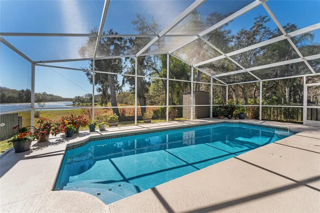 8617 Foxtail Court Tampa FL 33647