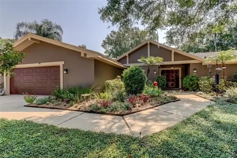 3326 Pattie Place Palm Harbor FL 34685
