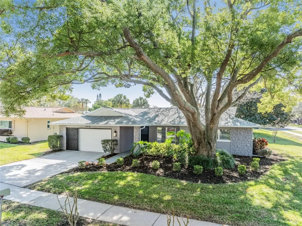 2802 Cameron Court Palm Harbor FL 34684