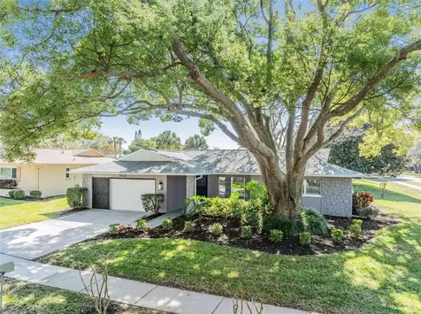 2802 Cameron Court Palm Harbor FL 34684