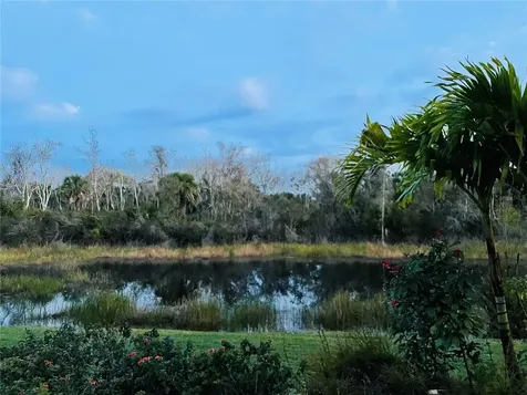 719 Fringed Orchid Trail Venice FL 34293