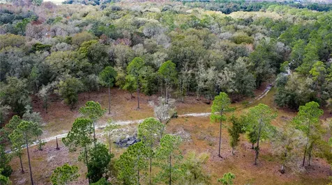 9215 Max Cash Road Lakeland FL 33810