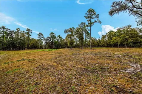 9215 Max Cash Road Lakeland FL 33810