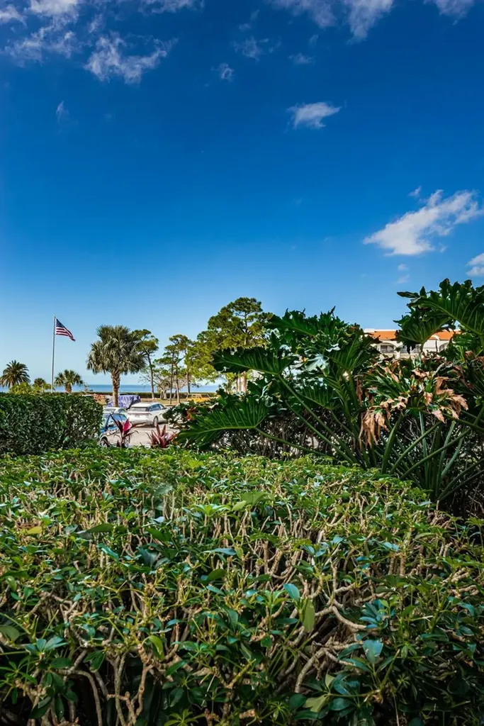 101 Mariner Drive Tarpon Springs FL 34689