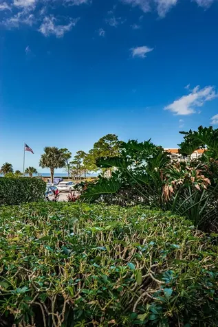 101 Mariner Drive Tarpon Springs FL 34689