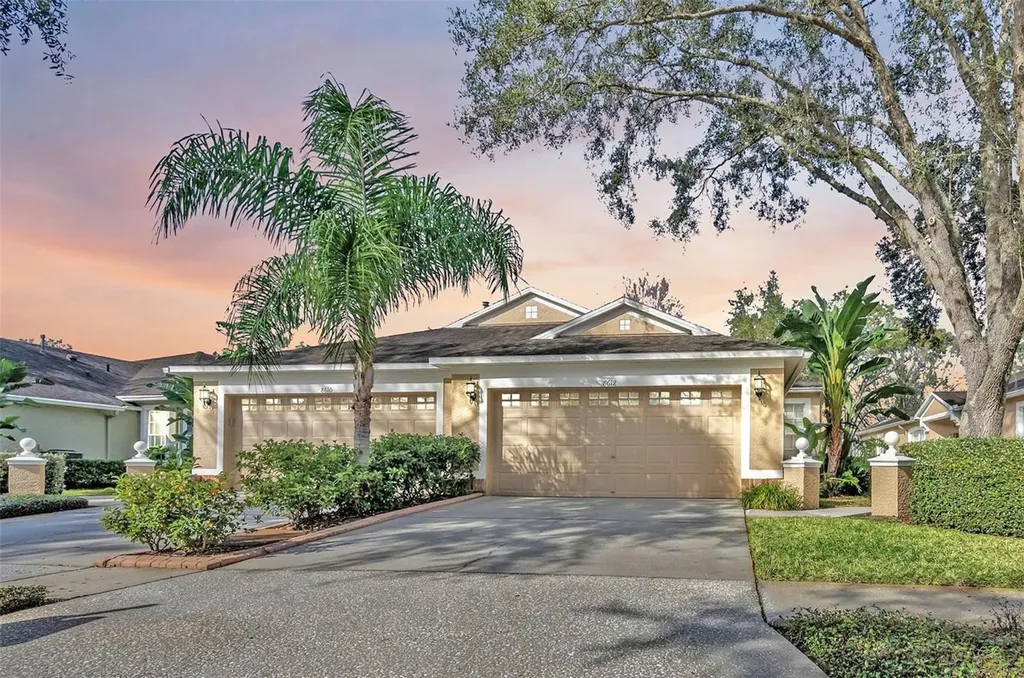 8612 Snowy Owl Way Tampa FL 33647