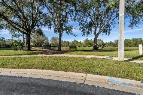 8612 Snowy Owl Way Tampa FL 33647