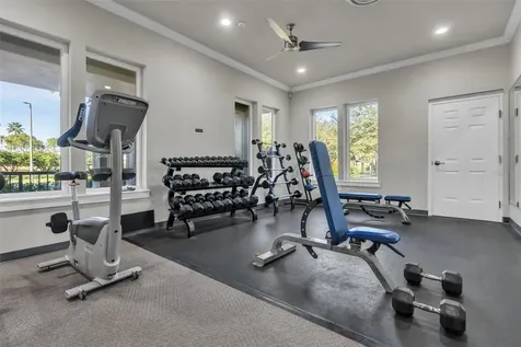 8612 Snowy Owl Way Tampa FL 33647