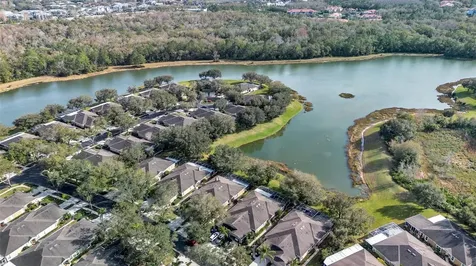 8612 Snowy Owl Way Tampa FL 33647