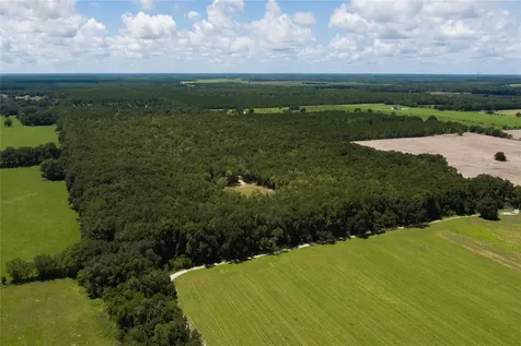 0000 SW 46 Avenue Newberry FL 32669