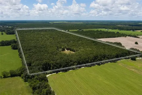 0000 SW 46 Avenue Newberry FL 32669