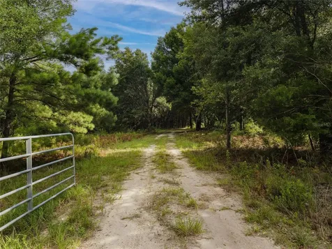 0000 SW 46 Avenue Newberry FL 32669