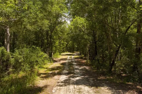 0000 SW 46 Avenue Newberry FL 32669