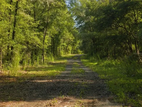 0000 SW 46 Avenue Newberry FL 32669