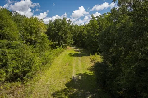 0000 SW 46 Avenue Newberry FL 32669