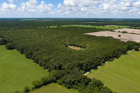 0000 SW 46 Avenue Newberry FL 32669