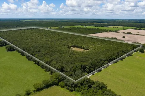 0000 SW 46 Avenue Newberry FL 32669