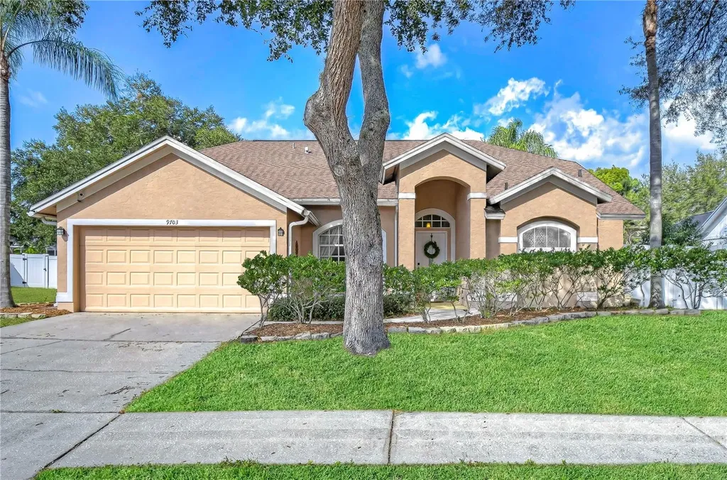 9703 Sunnyoak Drive Riverview FL 33569