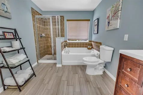 344 Black Springs Lane Winter Garden FL 34787
