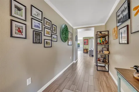 344 Black Springs Lane Winter Garden FL 34787