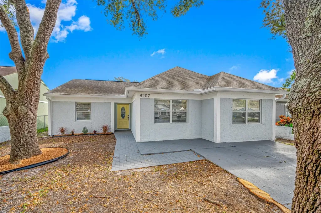 8207 Clermont Street Tampa FL 33637