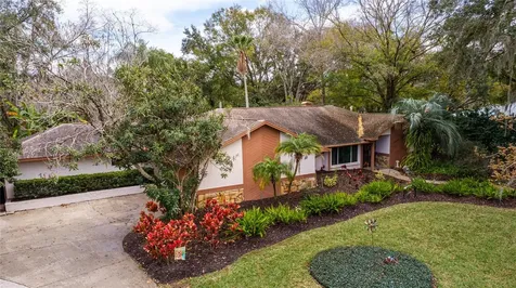 15203 Tilwood Place Tampa FL 33618