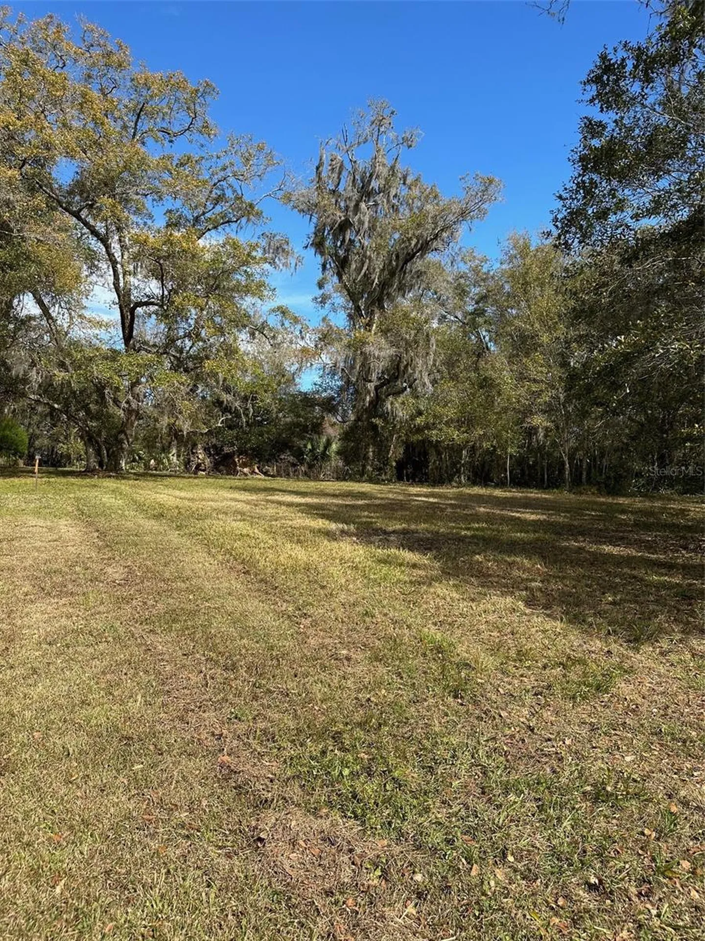 0 Yontz Road Brooksville FL 34601