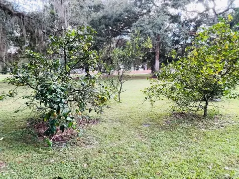 14501 SE 204th Terrace Hawthorne FL 32640